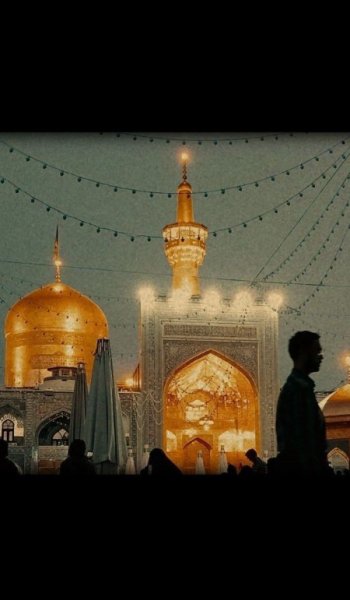  پروفایل امام رضا عاشقتم