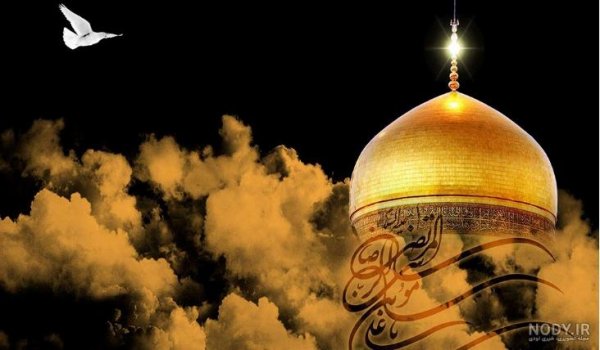  عکس حرم امام رضا با کبوتر