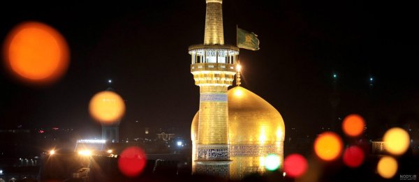  عکس حرم امام رضا با کبوتر