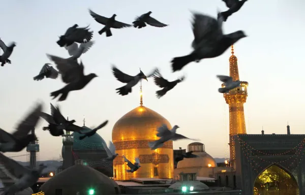  عکس حرم امام رضا با کبوتر