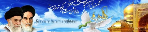عکس حرم امام رضا با کبوتر برای پروفایل واتساپ
