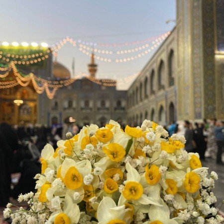  68 عکس حرم امام رضا برای موبایل
