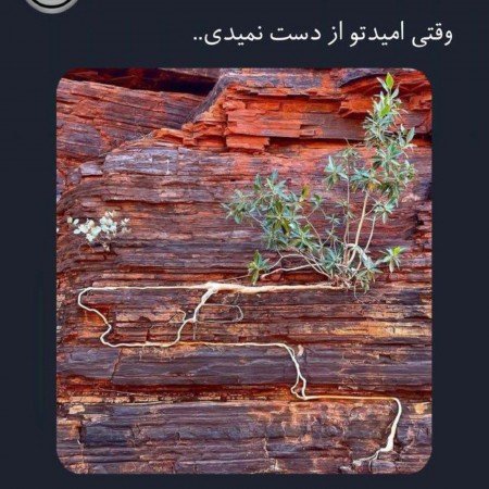  عکس موفقیت برای پروفایل