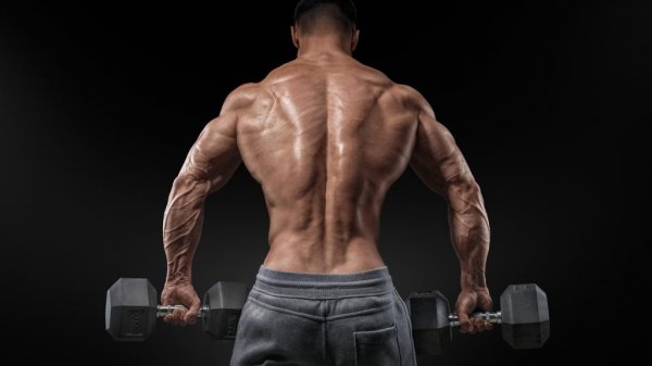 100 عکس پروفایل بدنسازی خفن