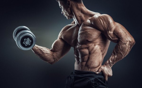  100 عکس پروفایل بدنسازی خفن