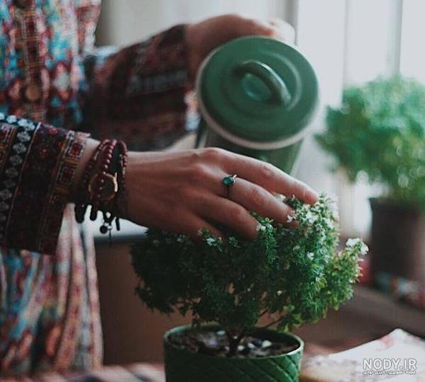  عکس بدون متن در مورد زندگی