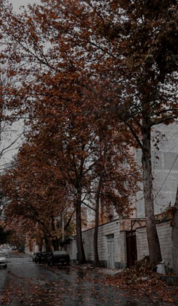 170 عکس پروفایل پاییزی جدید