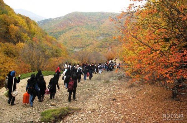  زیباترین تصاویر پاییزی ایران