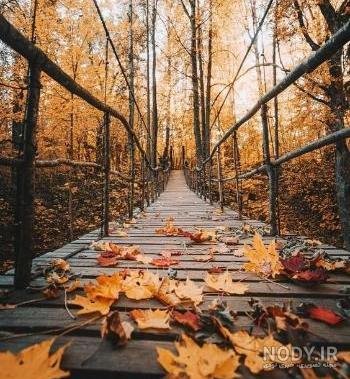  48 پروفایل پاییزی عاشقانه