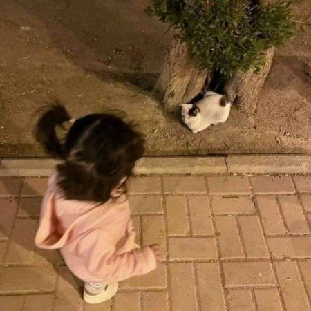  عکس فیک برای استوری