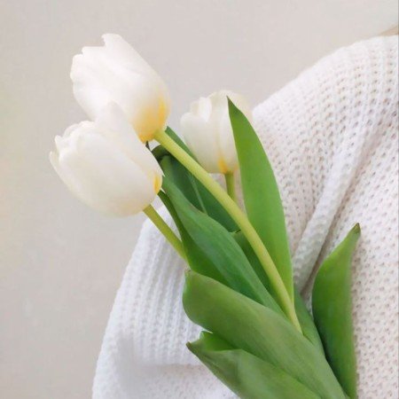  عکس سفید برای پروفایل