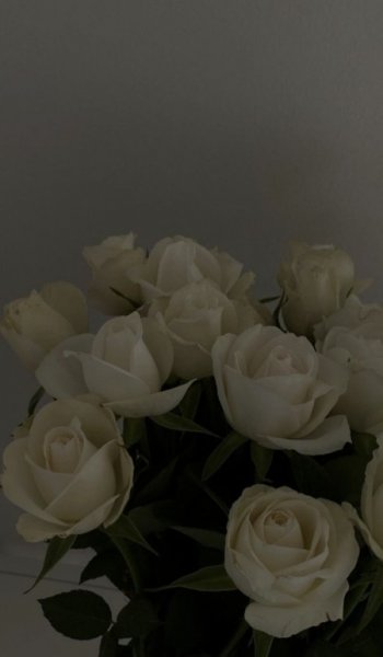  عکس سفید برای پروفایل