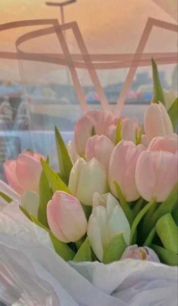  عکس سفید برای پروفایل