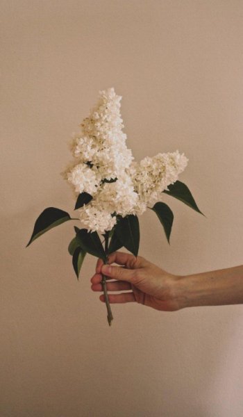  زمینه عکس سفید