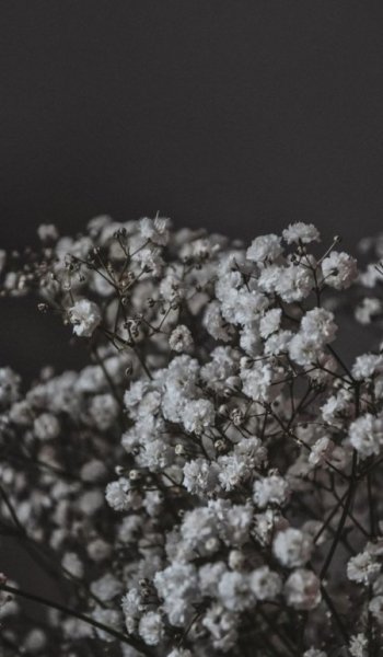  عکس سفید فانتزی