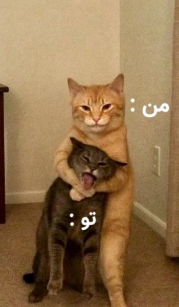  48 متن و عکس زیبا برای استوری