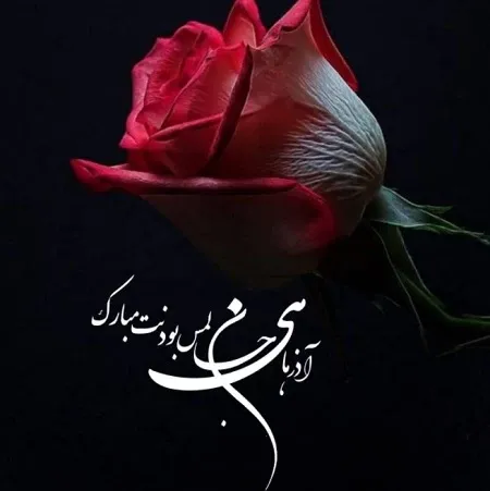  عکس تبریک تولد همسر اذر ماهی