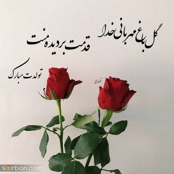  استوری تولد اردیبهشت ماهی