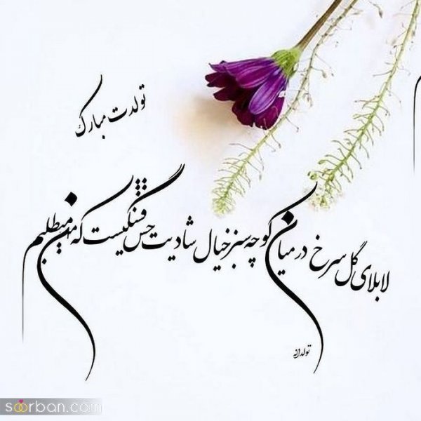  استوری تولد اردیبهشت ماهی
