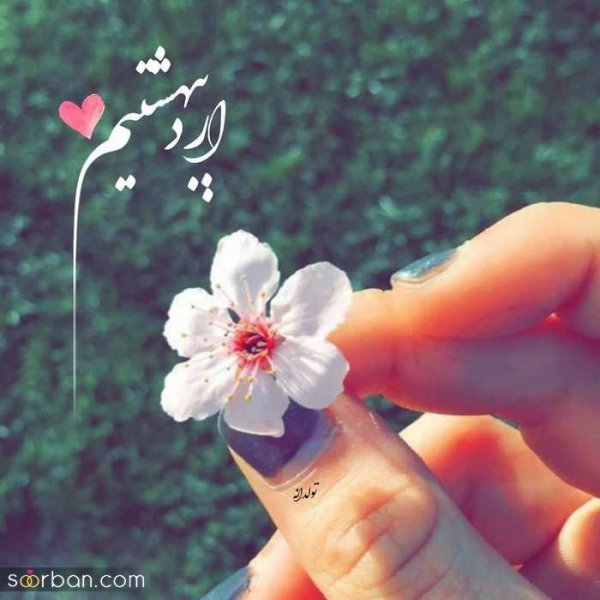  استوری تولد اردیبهشت ماهی