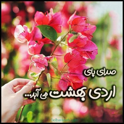  عکس اردیبهشتیم
