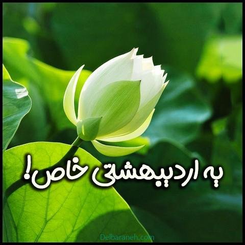  عکس اردیبهشت ماهی