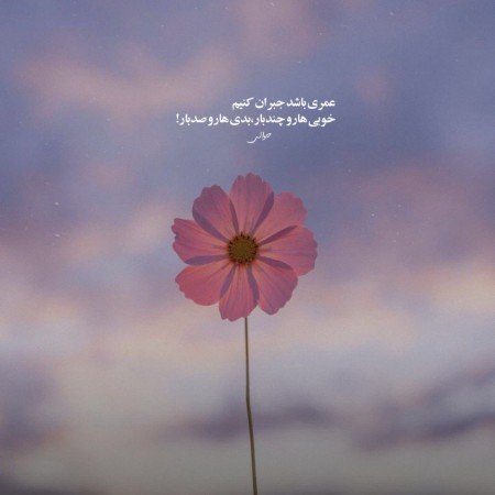 88 عکس پروفایل تیکه دار غمگین