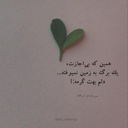  50 عکس پروفایل تیکه دار خدایی