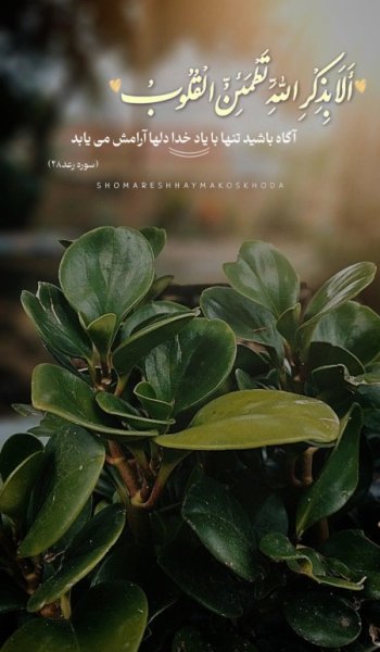  50 عکس پروفایل تیکه دار خدایی