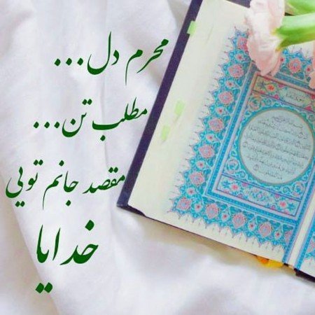  50 عکس پروفایل تیکه دار خدایی