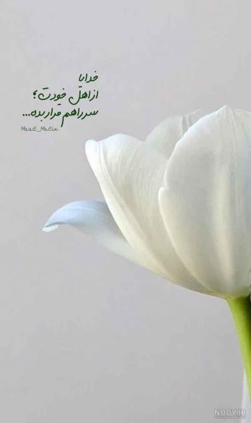 عکس خدایا شکرت برای پروفایل