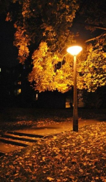  عکس پاییزی دونفره