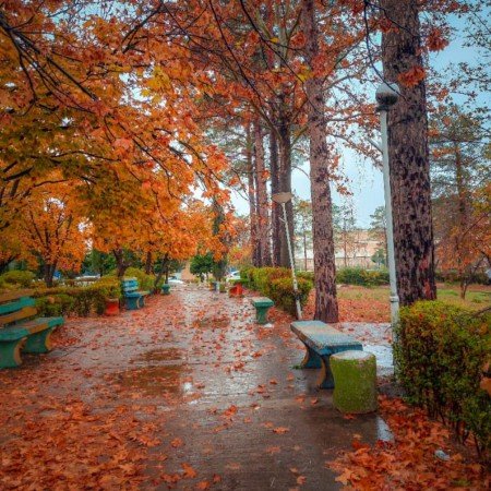  عکس پاییزی طبیعی