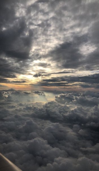  عکس برگ پاییزی نقاشی