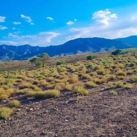  عکس کوه