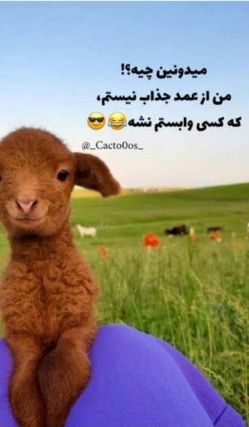 عکس های گلچین پروفایل
