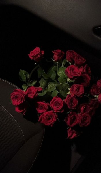  254 عکس های عاشقانه احساسی رمانتیک