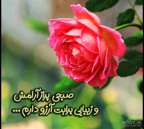  عکس صباح الخیر جمعه مبارک