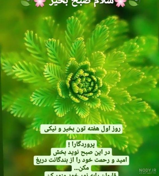  عکس صباح الخير جدید