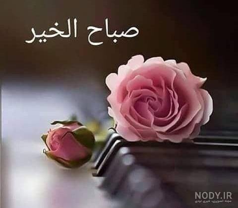  عکس صباح الخير جدید