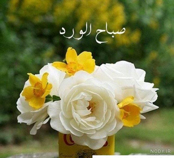  عکس صبح بخیر عربی جدید