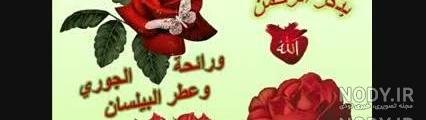  عکس صباح الخير حبیبی