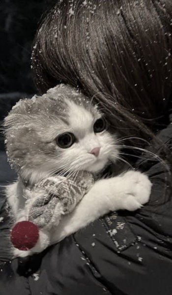 عکس برای استوری جذاب