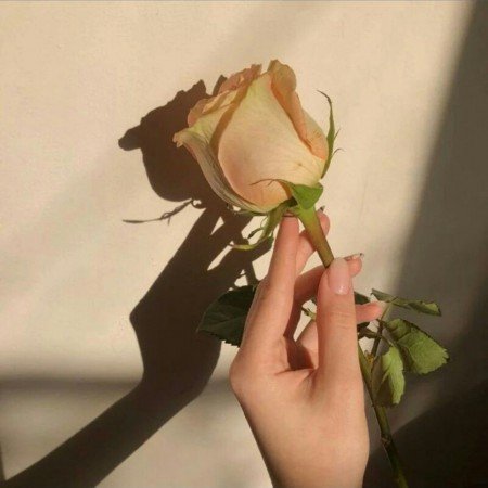 پروفایل خاص زنانه جدید ایرانی