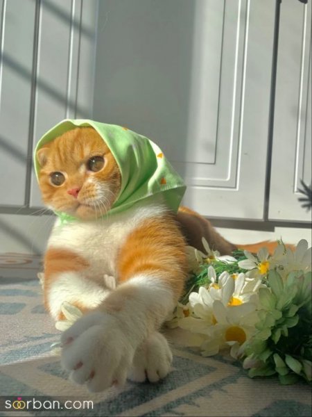  پروفایل خاص و تک