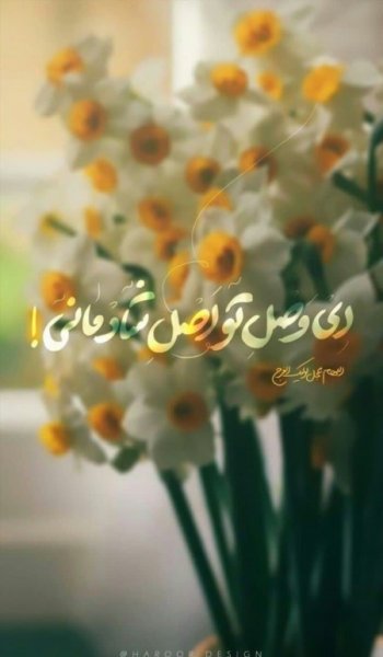 عکس مسجد جمکران برای پروفایل