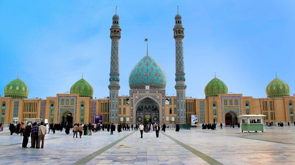  عکس جمکران و گل نرگس
