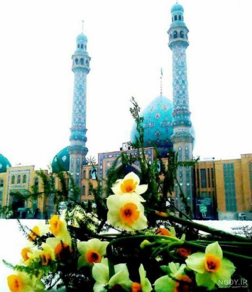  عکس جمکران و گل نرگس