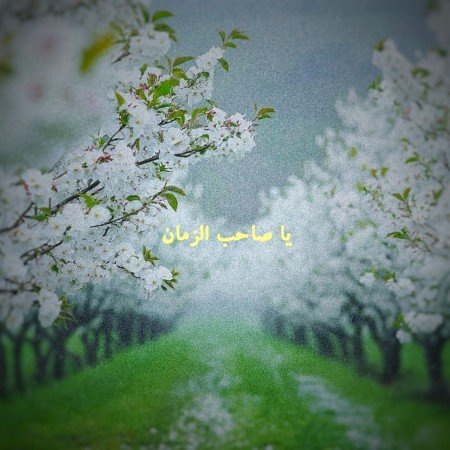 70 عکس پروفایل عاشقانه مذهبی اینستاگرام