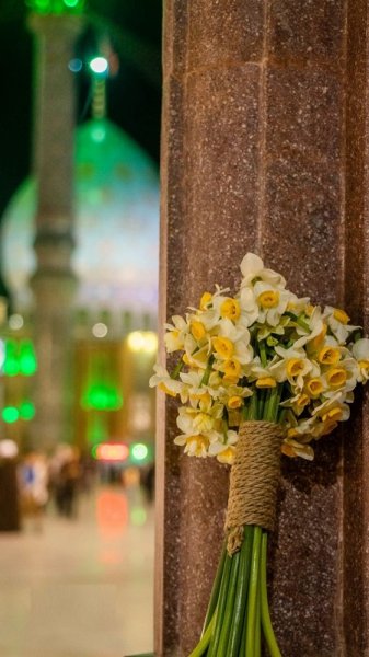  عکس از مسجد جمکران